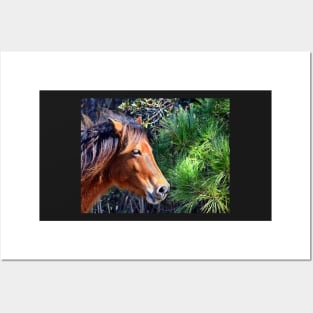 Assateague Pony Enjoying a Splash of Sunshine Posters and Art